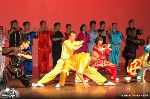 Benefietavond Pakistan — Luxor Theater — afbeelding 12 van 15