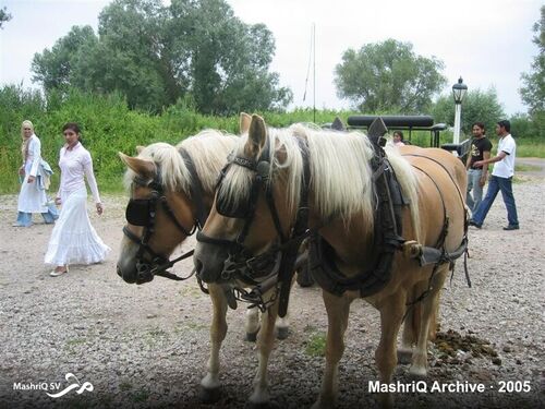 MashriQ-excursie Slot Loevestein 2005 — afbeelding 16 van 20