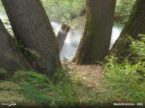 MashriQ-excursie Slot Loevestein 2005 — afbeelding 19 van 20